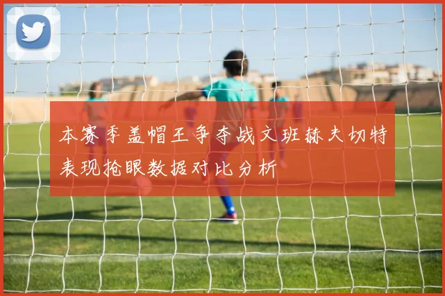 本赛季盖帽王争夺战文班赫夫切特表现抢眼数据对比分析