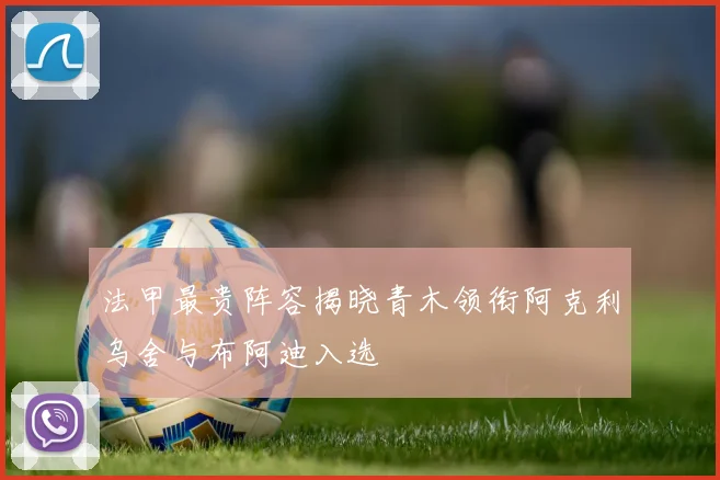 法甲最贵阵容揭晓青木领衔阿克利乌舍与布阿迪入选